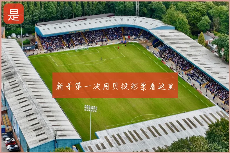 新手第一次用贝投彩票看这里